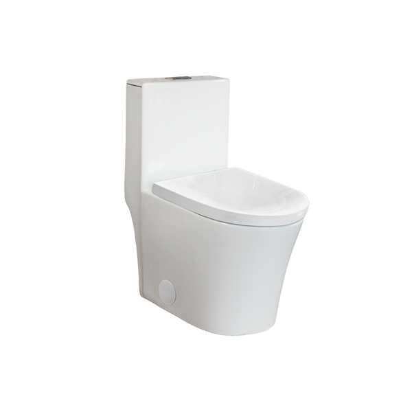 One-piece, elongated, dual-flush toilet