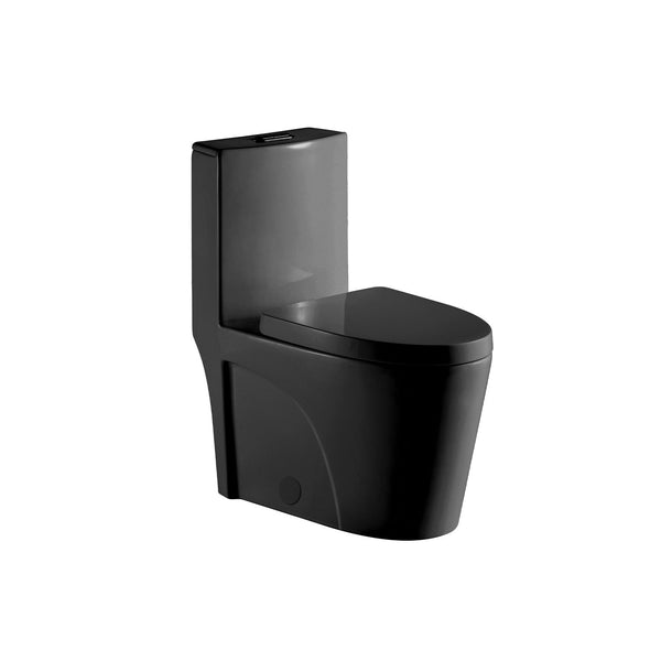 Matte black, one-piece, elongated, dual-flush toilet